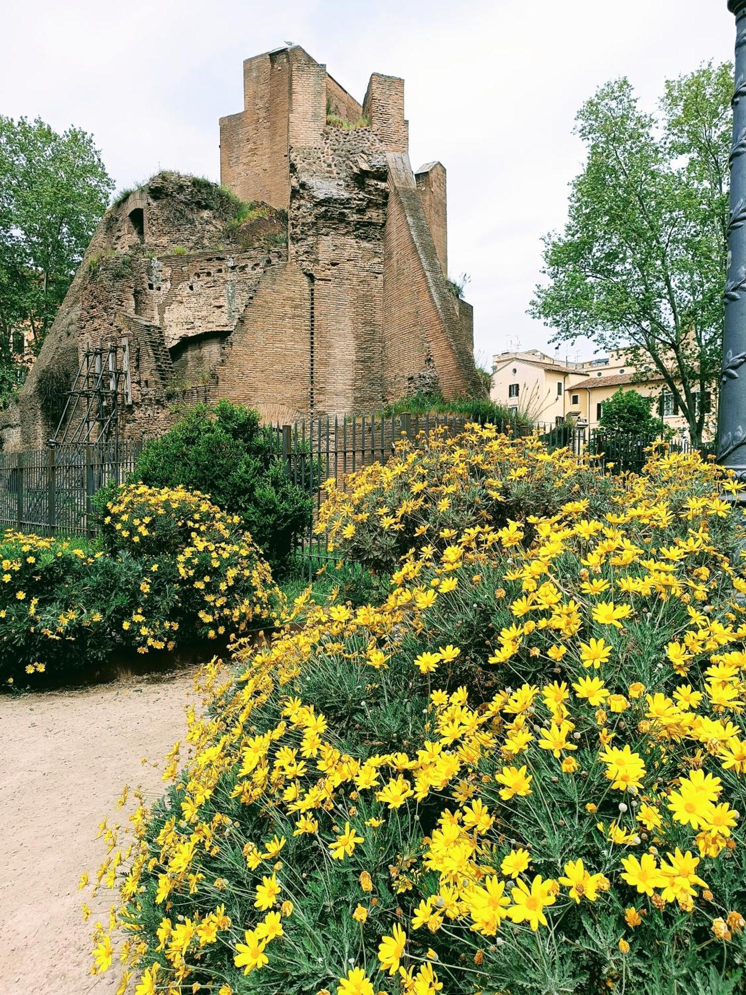 Porta Maggiore 9 Locazione Turistica Habitación en casa particular Roma